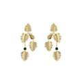 Monstera Gold