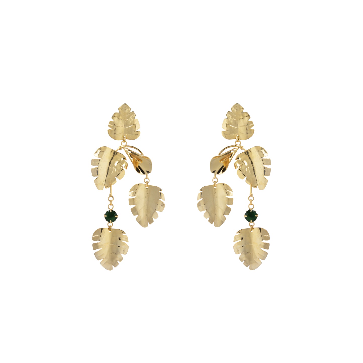 Monstera Gold