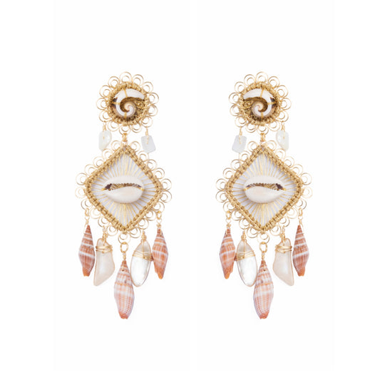 Sea shells